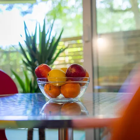 Le Cozy Corner - T3 & Terrasse Mérignac